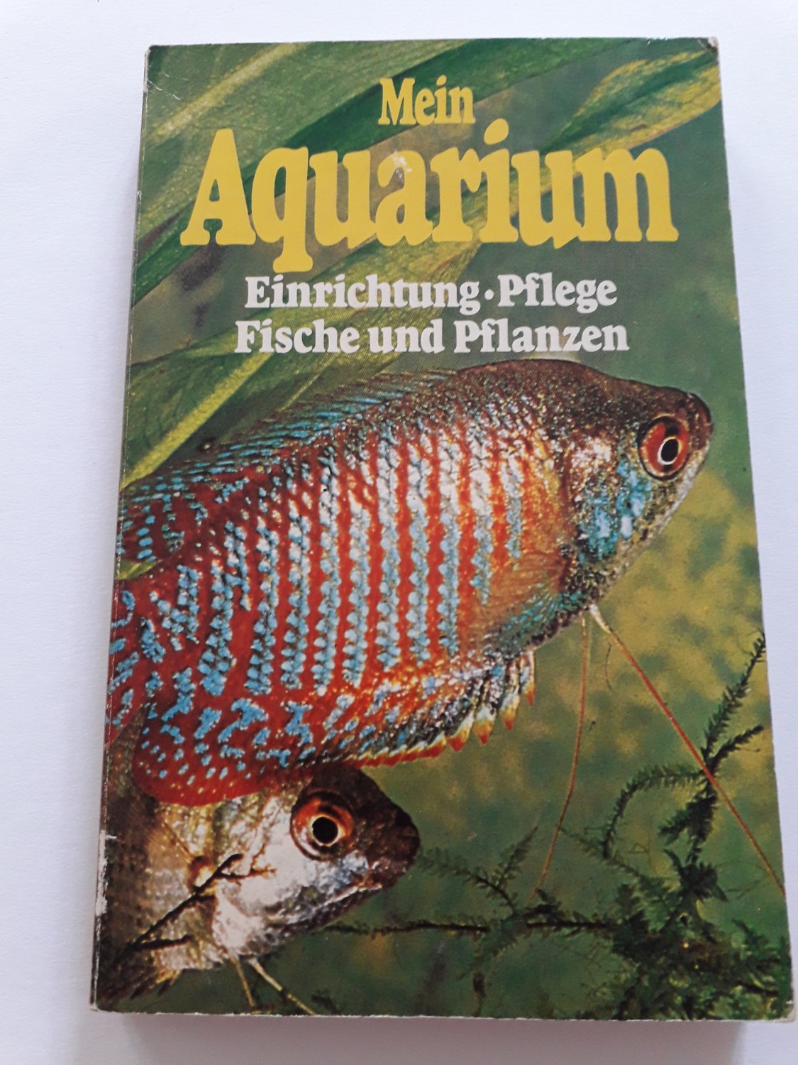 Wir verkaufen wir ein Eck Aquarium Mit hotsell Fischen und Pflanzen